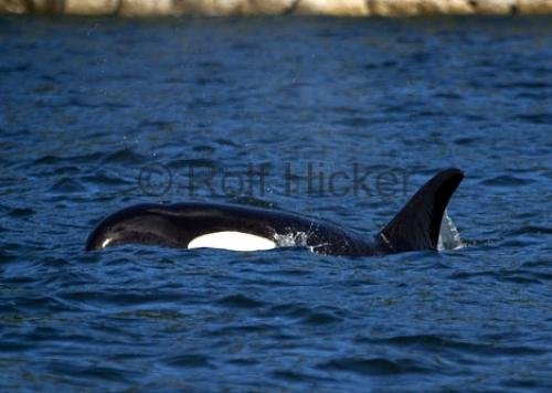 Photo: 
CRW 5841