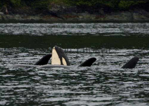 Photo: 
CRW 6420