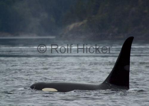 Photo: 
CRW 6451