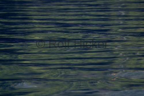 Photo: 
water pictures