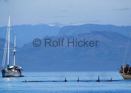 Photo: 
CRW 7587