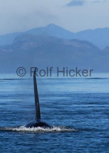 Photo: 
CRW 7596