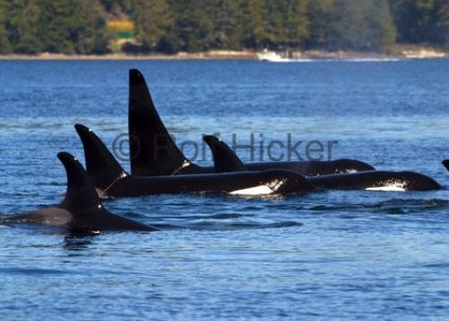 Photo: 
CRW 7683