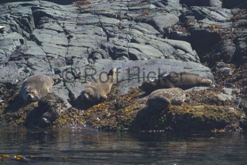 Photo: 
CRW 7777