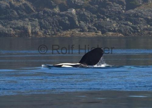 Photo: 
CRW 7796