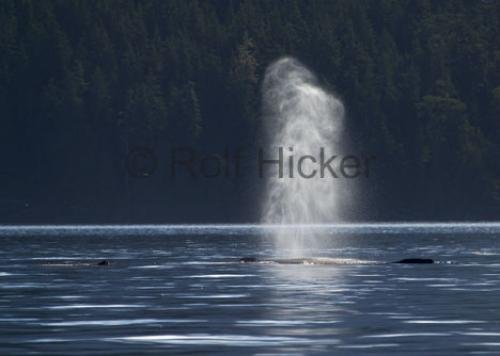 Photo: 
CRW 8179