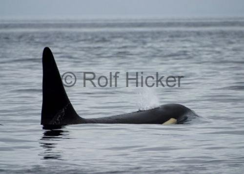 Photo: 
CRW 9484