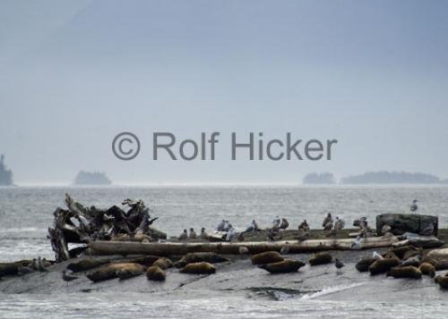 Photo: 
CRW 9588