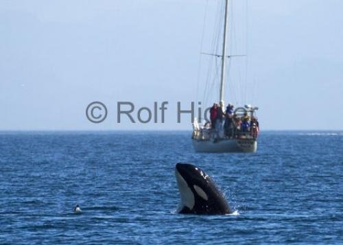 Photo: 
CRW 9757