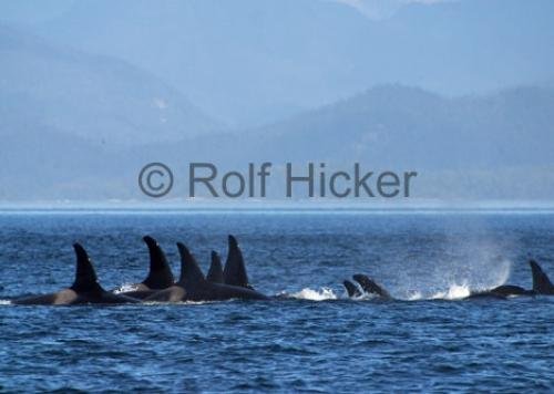 Photo: 
CRW 9876