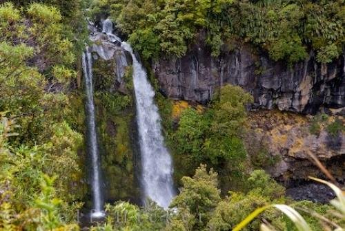 Photo: 
Dawson Falls Egmont National Park