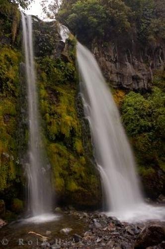 Photo: 
Scenic Dawson Falls Waterfall Egmont National Park