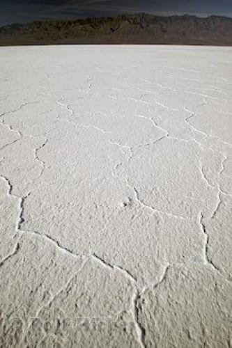 Photo: 
Desert Snow Photo
