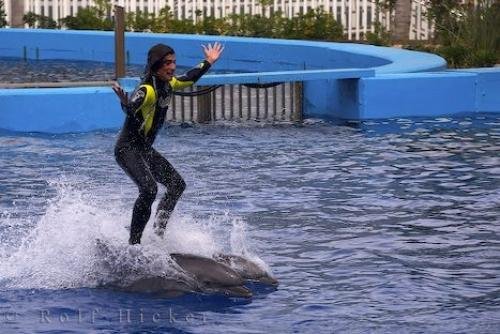Photo: 
Dolphin Ride L Oceanografic Valencia Spain