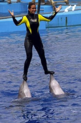 Photo: 
Dolphins Balancing Act L Oceanografic Valencia Spain