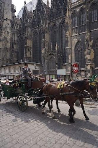 Photo: 
Downtown Vienna Austria Horse Buggy Rides