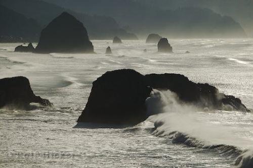 Photo: 
ecola state park