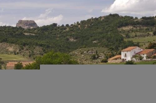 Photo: 
El Maestrat Valencia Poppies