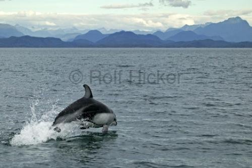 Photo: 
F76T5791
