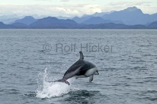 Photo: 
F76T5795