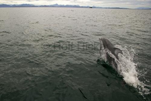 Photo: 
F76T5837