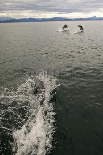 Photo: 
F76T5848