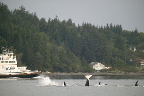 Photo: 
F76T5868