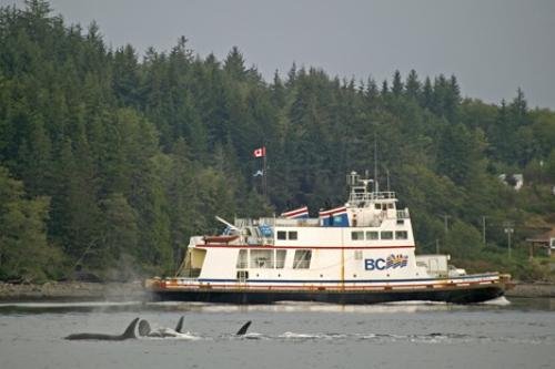 Photo: 
F76T5869