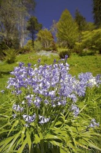 Photo: 
Exotic Flowers