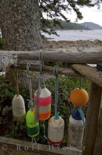 Photo: 
Decorative Buoys
