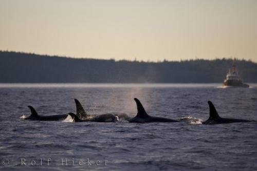 Photo: 
Family Portrait