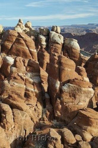 Photo: 
Fiery Furnace Needles