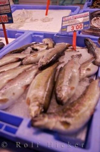 Photo: 
Fish Sale Mercado Central Mercat Markets Valencia Spain