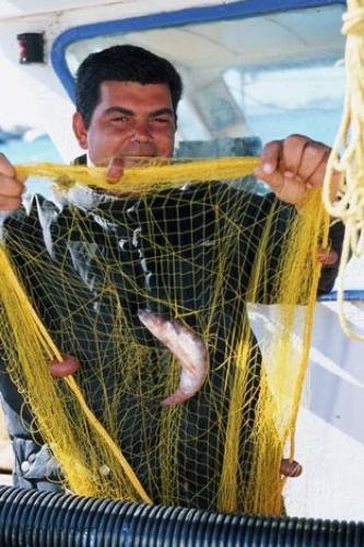 Photo: 
Greek Fisherman Showing Catch