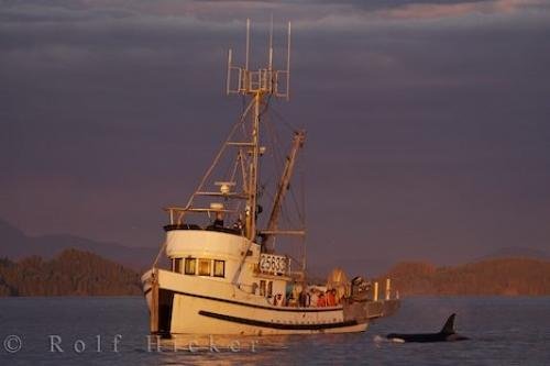 Photo: 
Fishing Troller