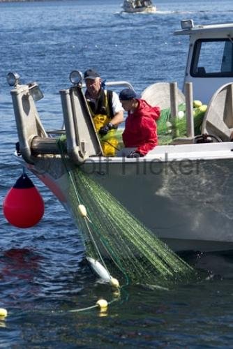 Photo: 
Fishing Vancouver Island