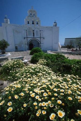 Photo: 
Flowers Venecian Citadell