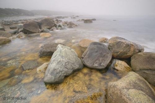Photo: 
Fog Coast Gros Morne National park Newfoundland