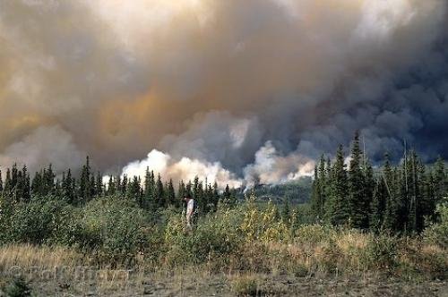 Photo: 
Forest Fire Yukon