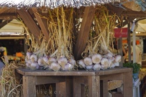 Photo: 
Fresh Garlic Market Stall Camargue France