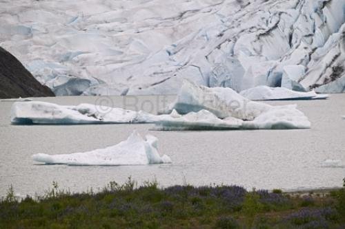 Photo: 
Glacier Landscape Picture