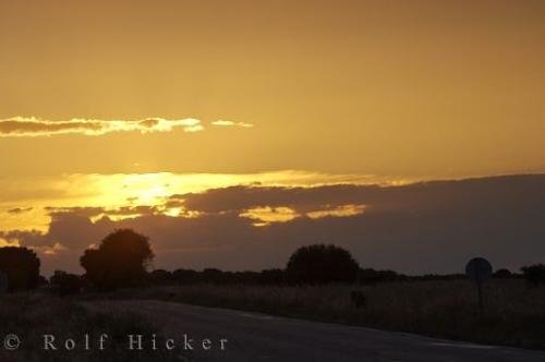 Photo: 
Golden Sunset