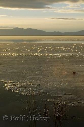 Photo: 
Frozen Great Salt Lake Sunset Photo