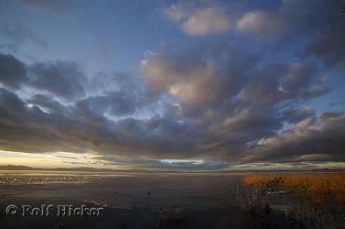 Photo: 
Great Salt Lake Sunset Image