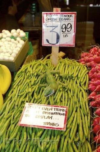 Photo: 
Green Beans