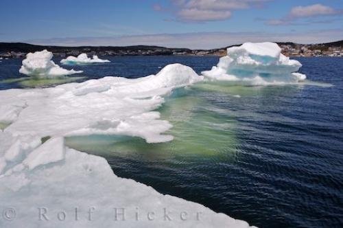 Photo: 
Harbour Pack Ice Newfoundland