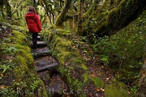 Photo: 
Hiker Kapuni Loop Track NZ