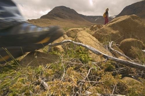 Photo: 
Hiking Newfoundland