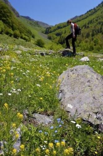 Photo of the wilderness surrounding a woman<br />hiking in the Val d'Aran in the Pyrenees, Catalonia. Photo: 
Hiking Val D Aran Pyrenees Catalonia