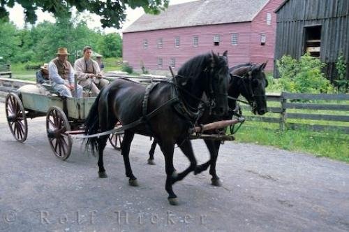 Photo: 
Horse Drawn Cart
